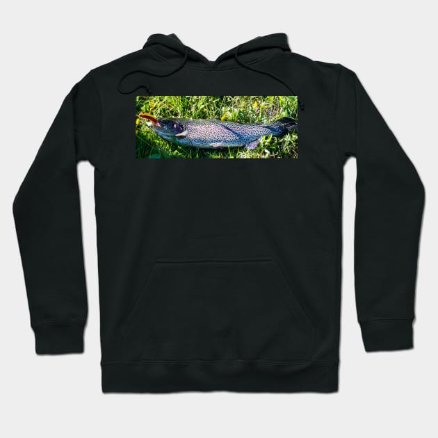 41617 trout Hoodie by pcfyi